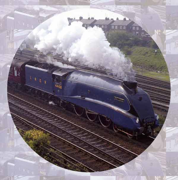 mallard_train